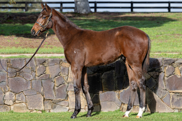 Lot 350: Ozzmosis / Cavaco
