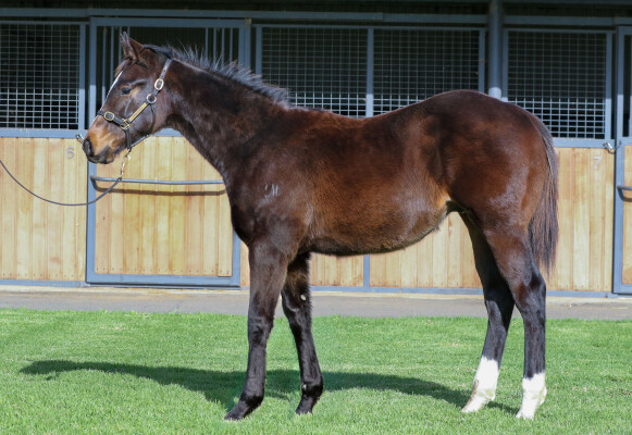 Lot 167: Capitalist / Sally's Day