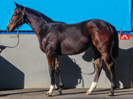 Lot 18: Dirty Work / Imperial Ida