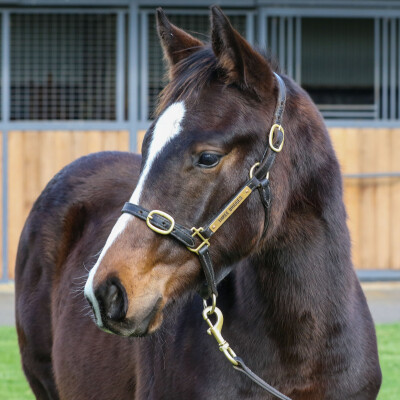 Lot 167: Capitalist / Sally's Day