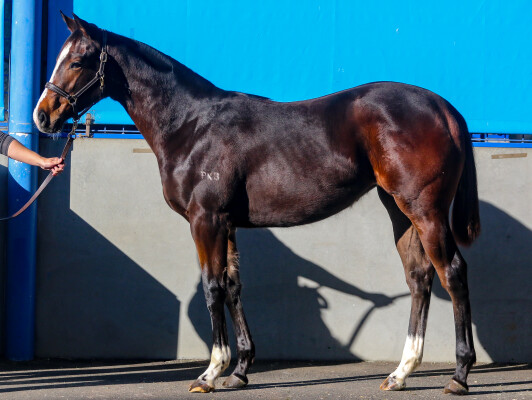 Lot 18: Dirty Work / Imperial Ida