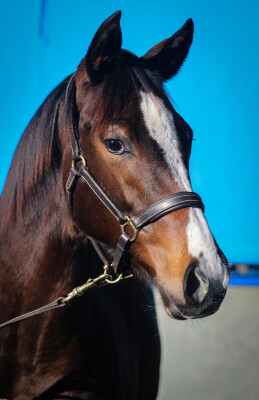 Lot 18: Dirty Work / Imperial Ida