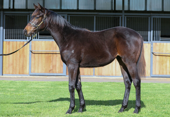 Lot 196: Stay Inside / Solar Moon (GB)