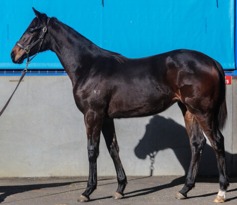Lot 50: Dirty Work / Lady I Am
