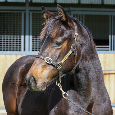 Lot 196: Stay Inside / Solar Moon (GB)