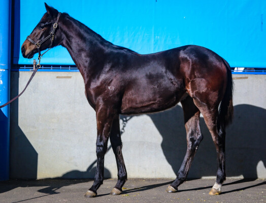 Lot 50: Dirty Work / Lady I Am