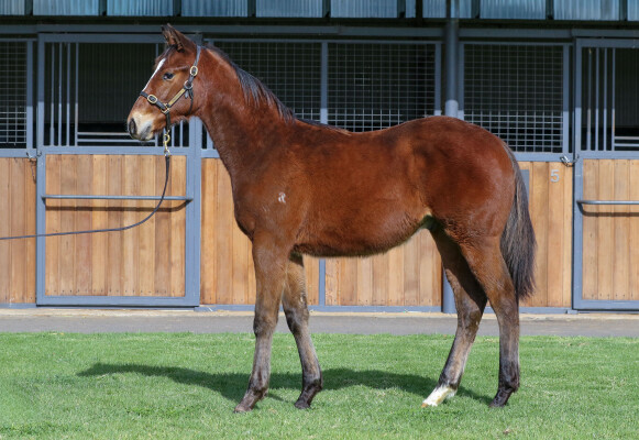 Lot 316: Victor Ludorum (GB) / Aspen