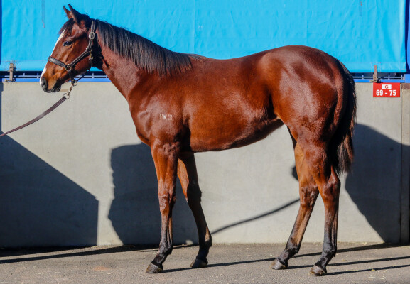 Lot 92: In the Congo / Miss Benedetta
