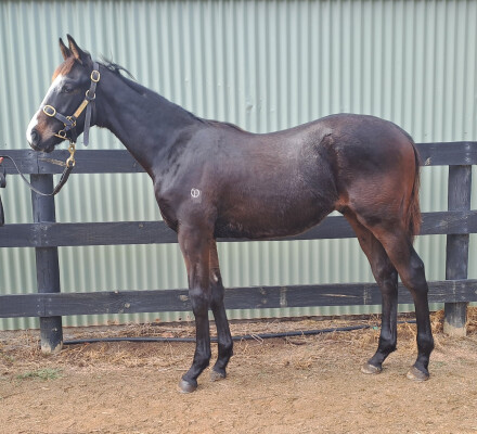 Lot 11: Dirty Work / Horizontal