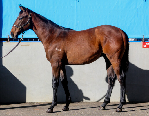 Lot 352: Portland Sky / Chalk it Up