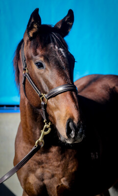 Lot 352: Portland Sky / Chalk it Up