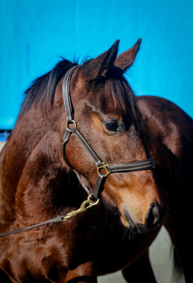 Lot 391: I Am Immortal / Edge Away