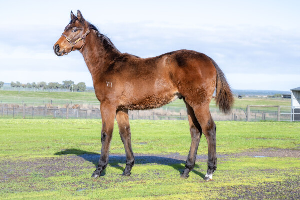 Lot 327: Home Affairs / Beaute Pour Toi (GB)