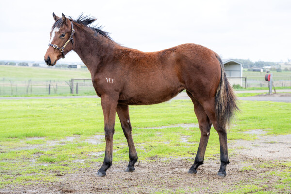 Lot 402: All Too Hard / Fairestofthemall