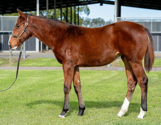 Lot 122: Farnan / Nulka
