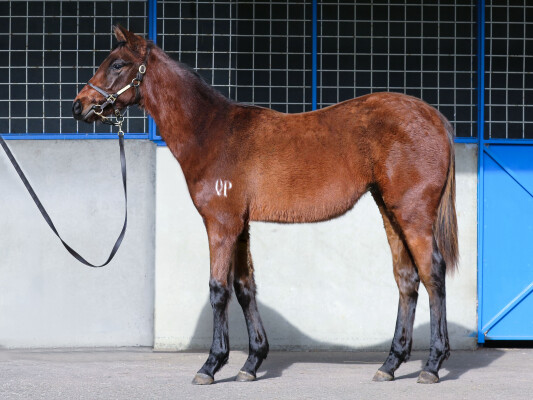 Lot 89: Cosmic Force / Mirri (GB)
