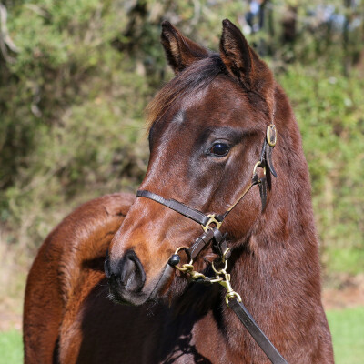 Lot 89: Cosmic Force / Mirri (GB)