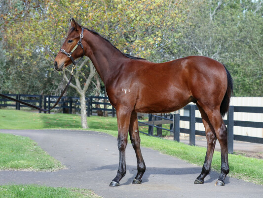 Lot 226: Ilovethiscity / Symbolica