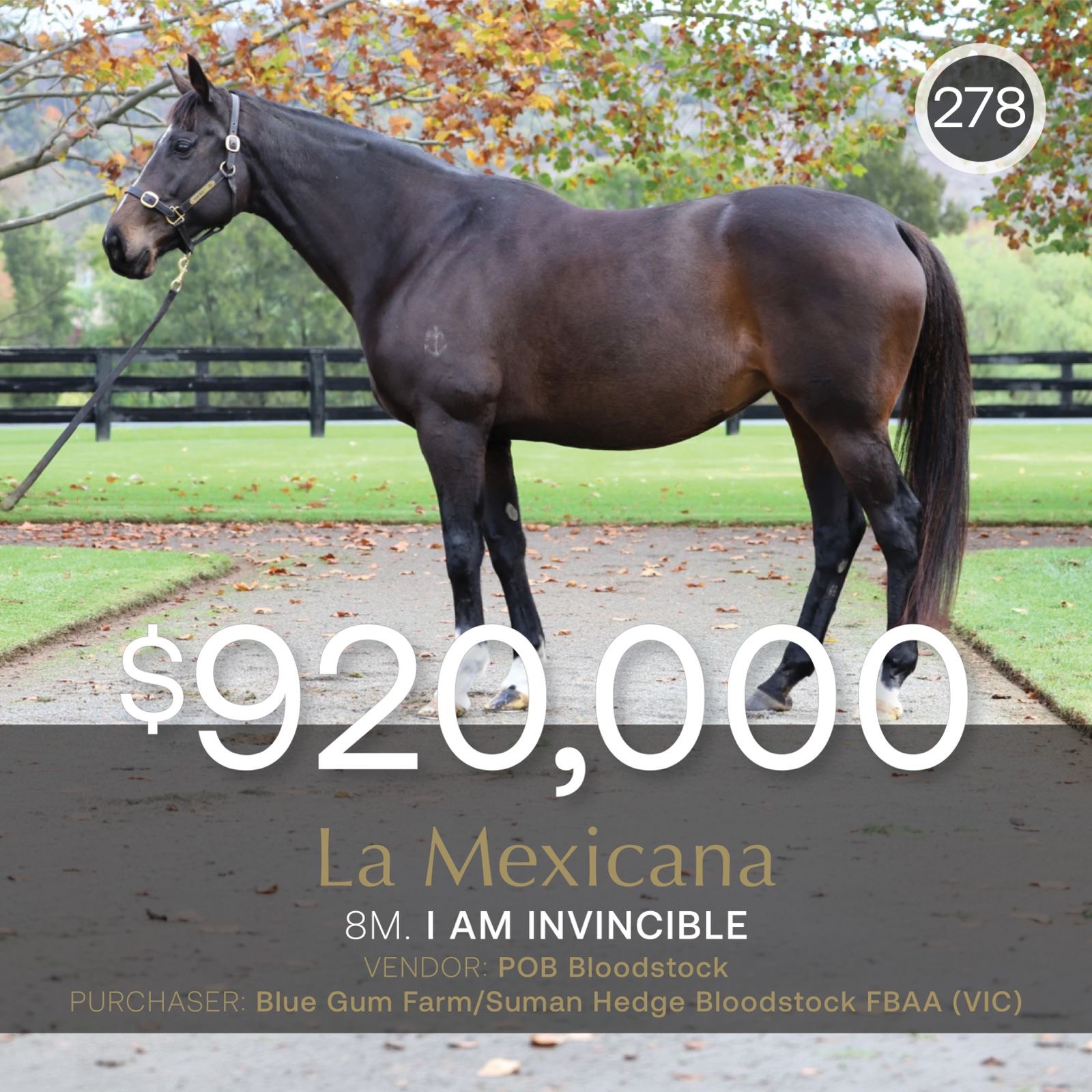La Mexicana sells for $920,000 in June (Early) Online Sale