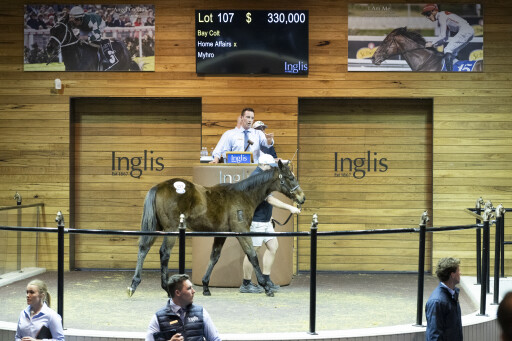 Home Affairs colt tops strong opening day of Great Southern