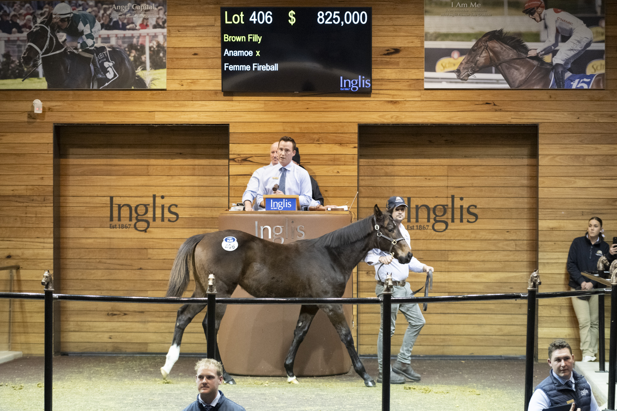 Records tumble at best ever Great Southern Weanling Sale