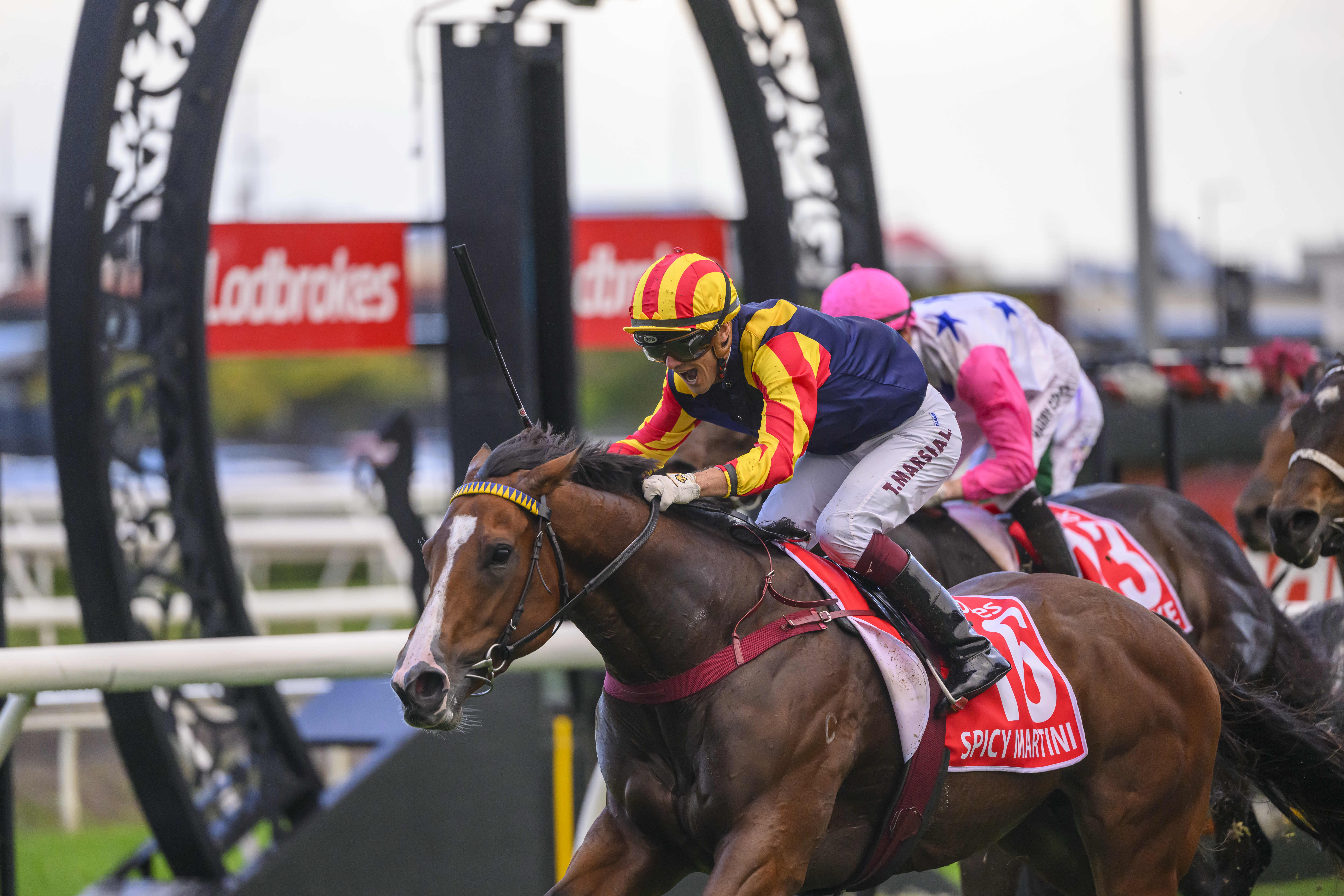 Spicy Martini proves too hot for her rivals in G1 Stradbroke