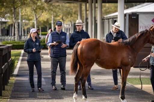 Applications open for Inglis Internship program