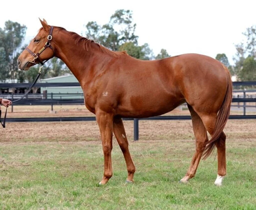 G2 winner Double Market among June (Late) highlights