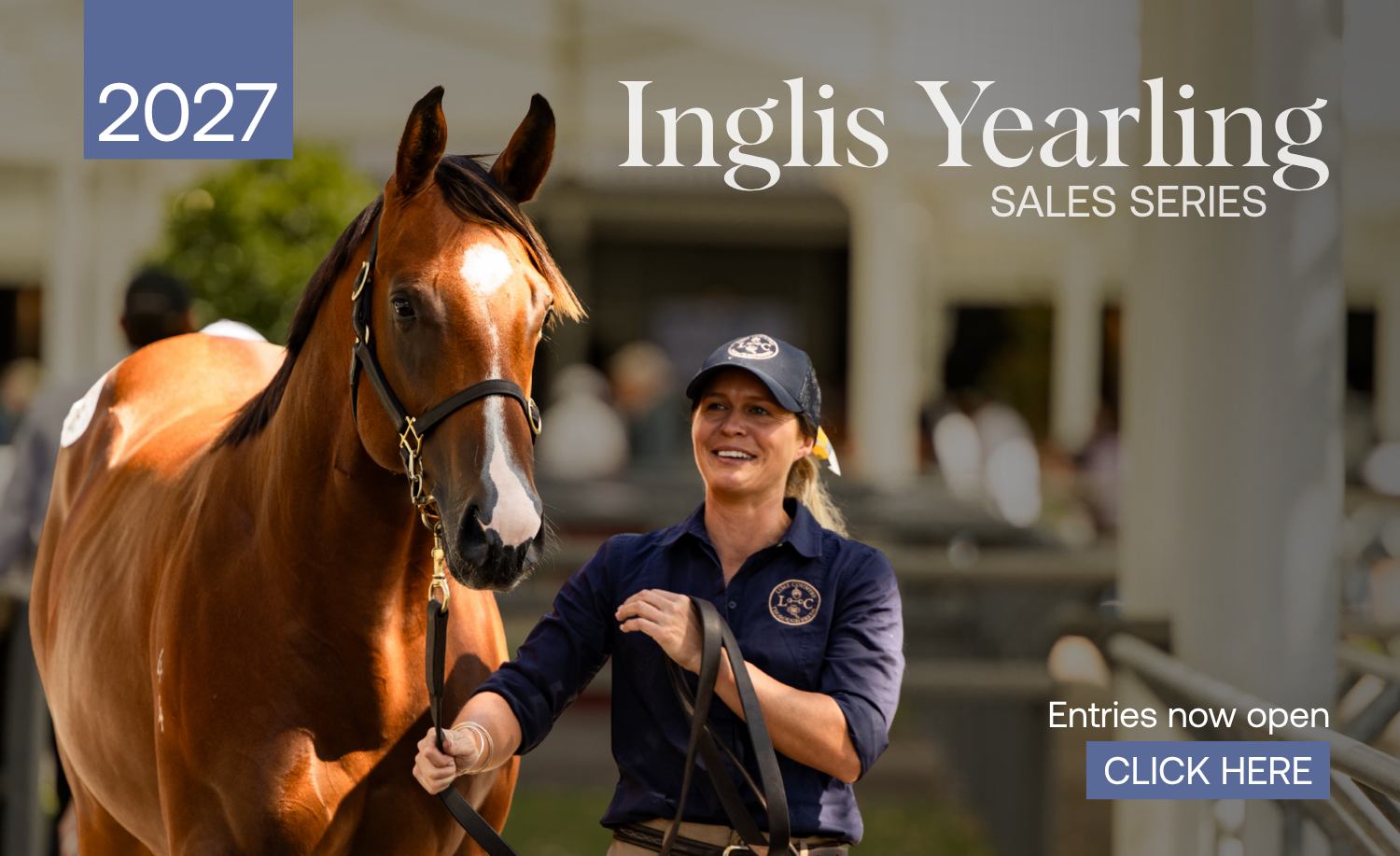 Yearling Sales Entries Tile