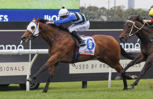 G1 mare Arctic Glamour headlines outstanding July (Late) catalogue