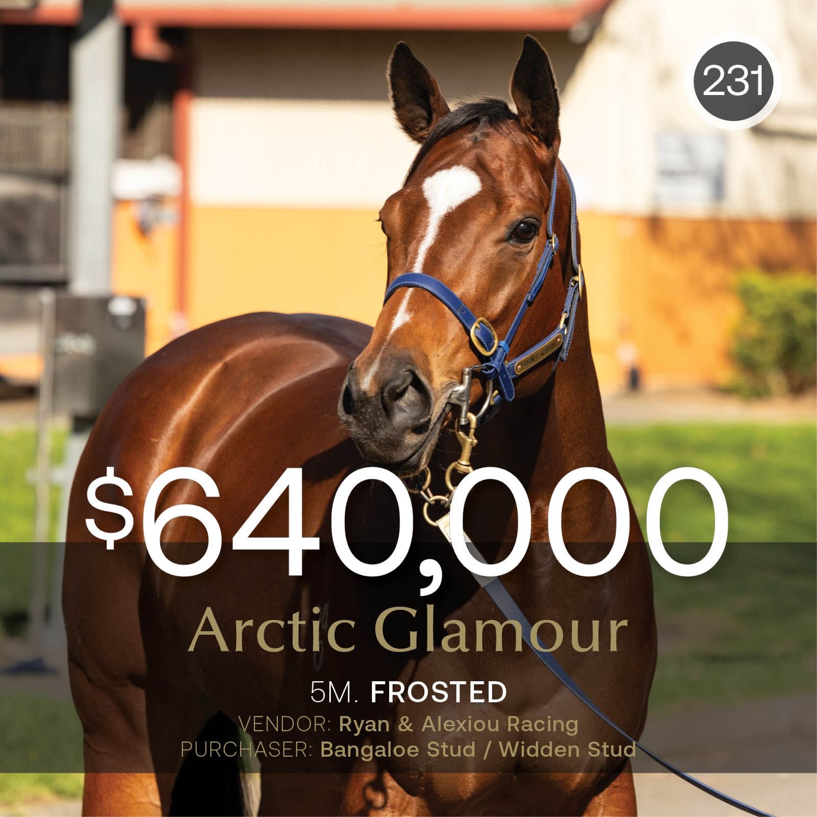 Arctic Glamour tops July (Late) Sale at $640,000