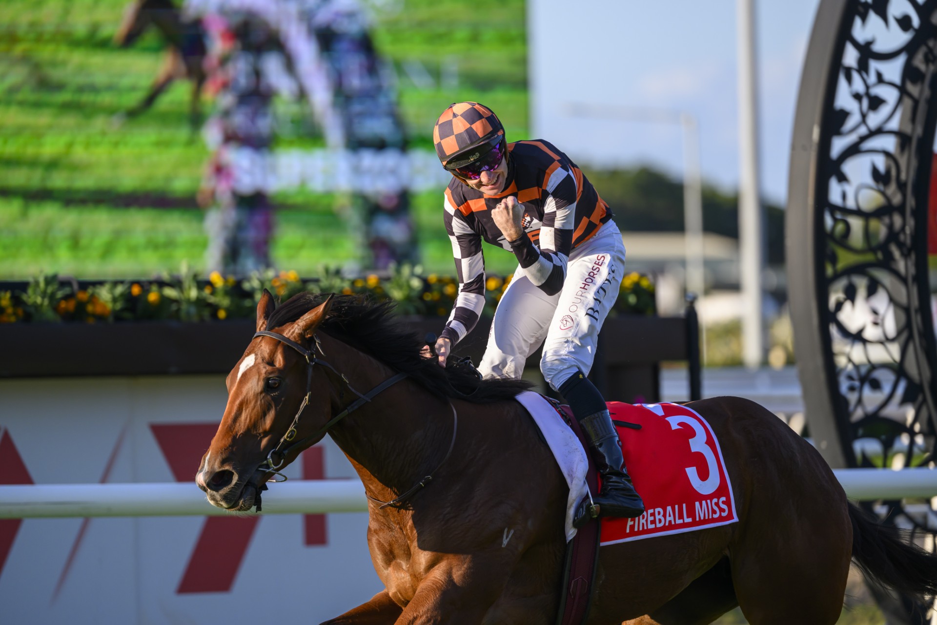 Cornerstone dispersal one of many highlights in August (Early) Online Sale