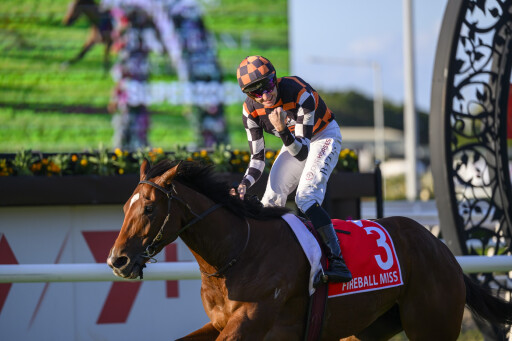 Cornerstone dispersal one of many highlights in August (Early) Online Sale