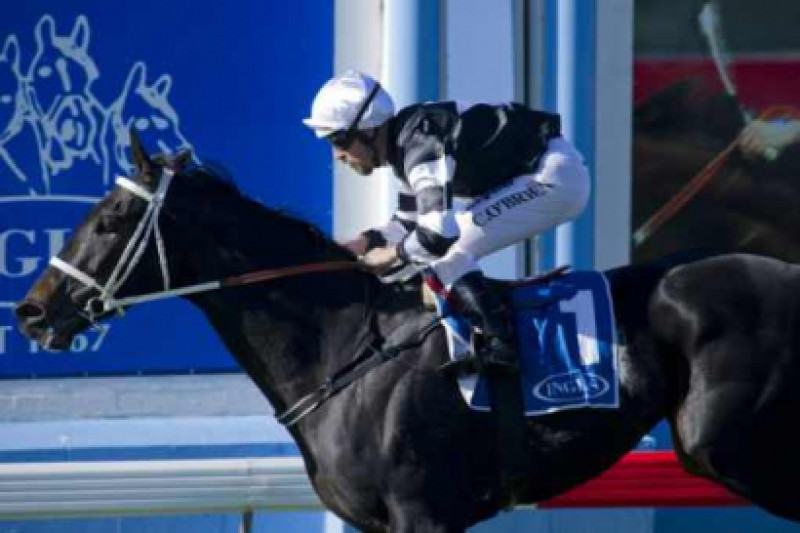 New $75,000 Inglis Bonus on offer in the 2012 Gosford Guineas
