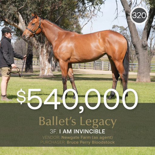 Ballet's Legacy tops August (Early) Sale at $540,000
