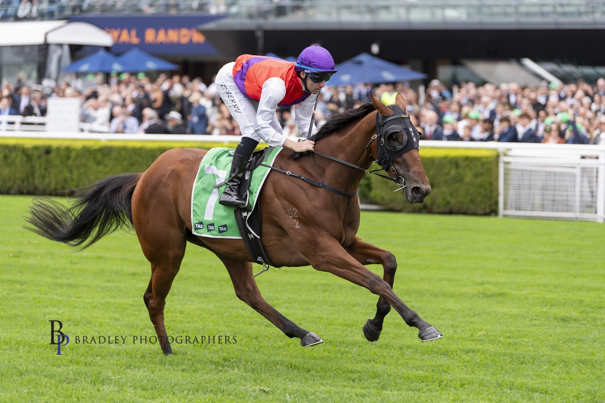 Profoundly, Ole Kirk Share lead strong August (Late) Digital catalogue