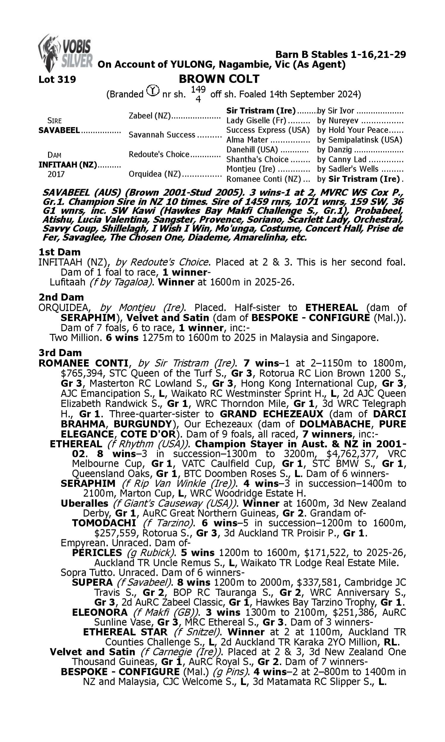 Pedigree for Lot 319 Savabeel - Infitaah (NZ)