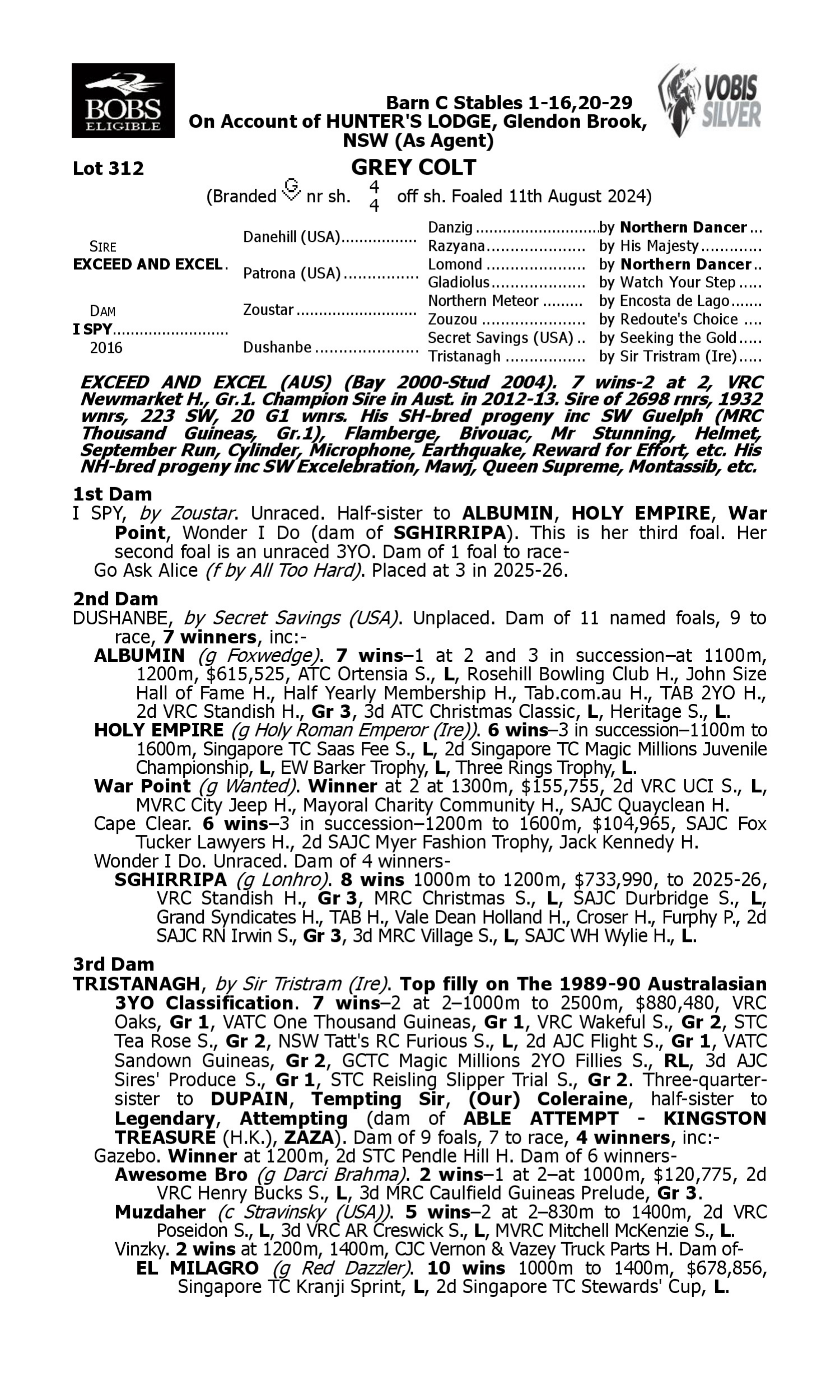Pedigree for Lot 312 Exceed and Excel - I Spy