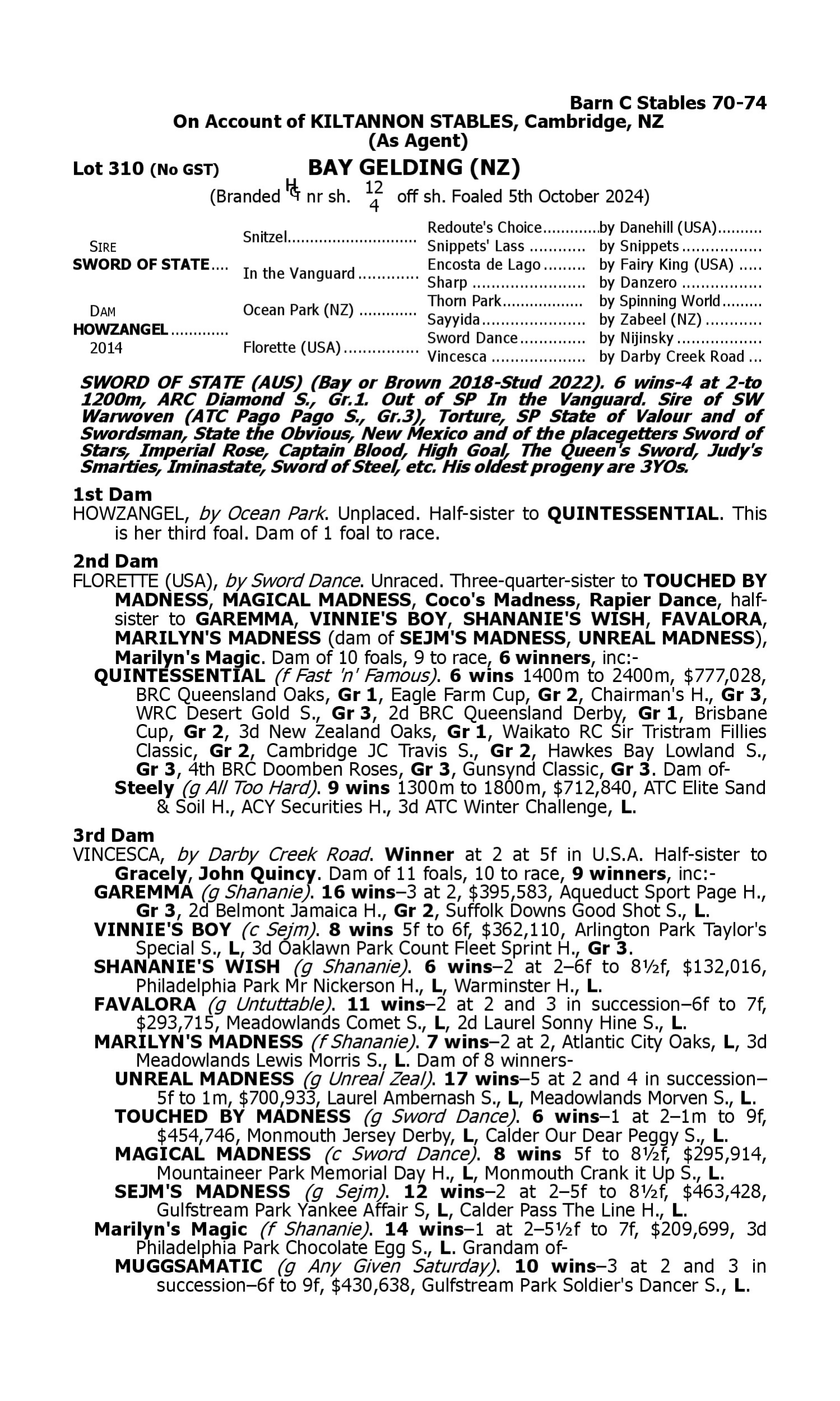 Pedigree for Lot 310 Sword of State - Howzangel (NZ)