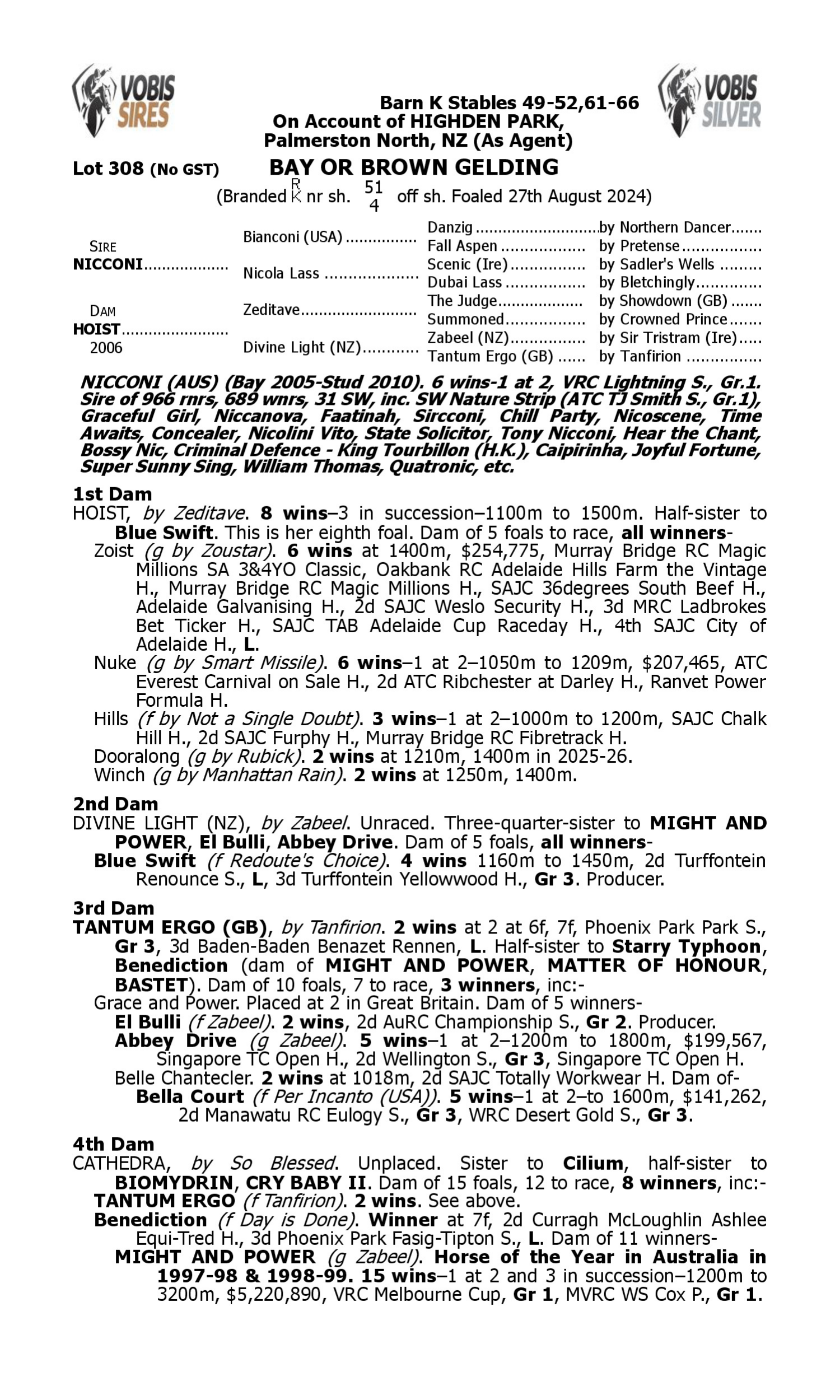 Pedigree for Lot 308 Nicconi - Hoist
