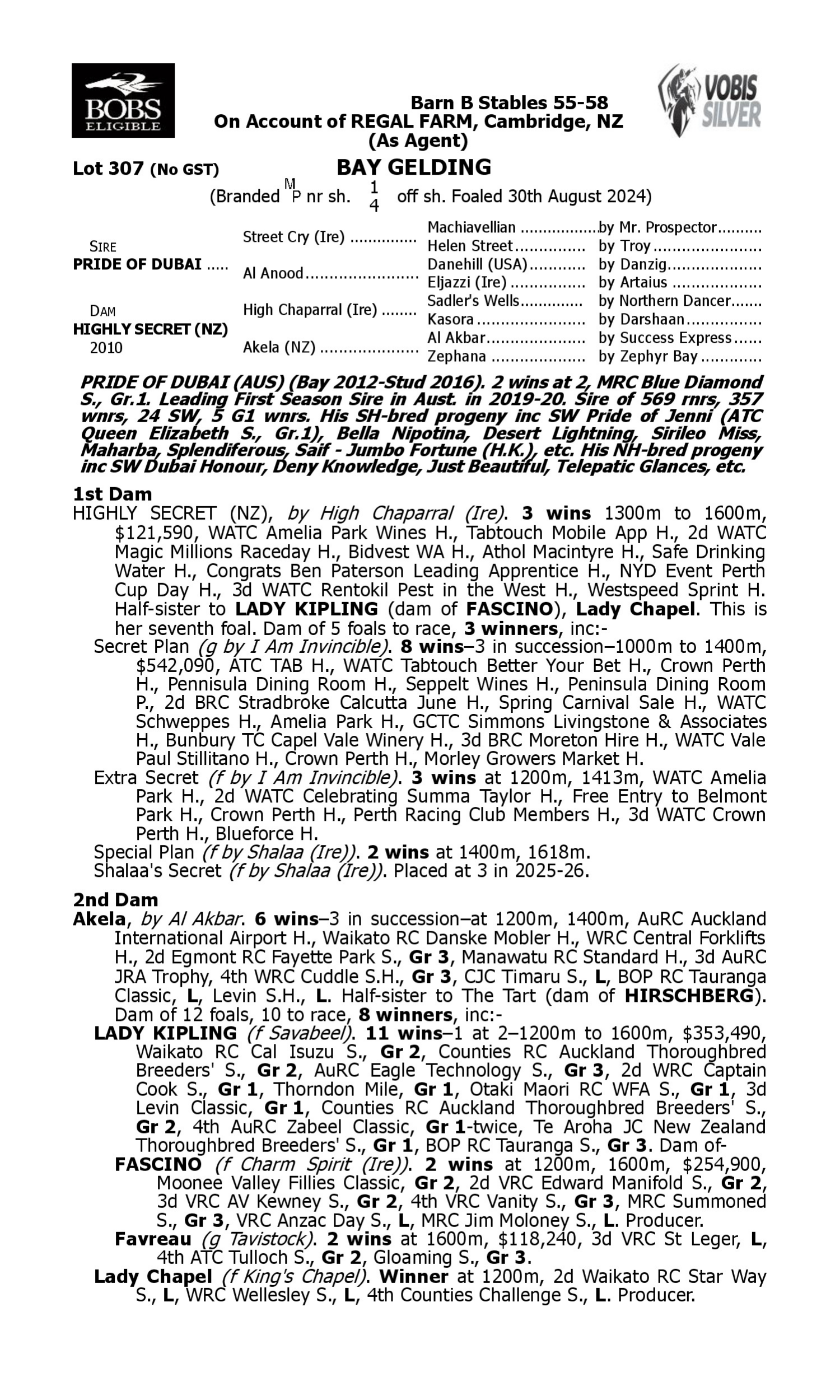 Pedigree for Lot 307 Pride of Dubai - Highly Secret (NZ)