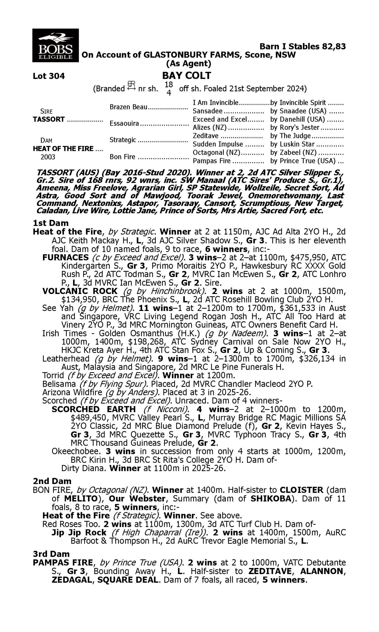 Pedigree for Lot 304 Tassort - Heat of the Fire