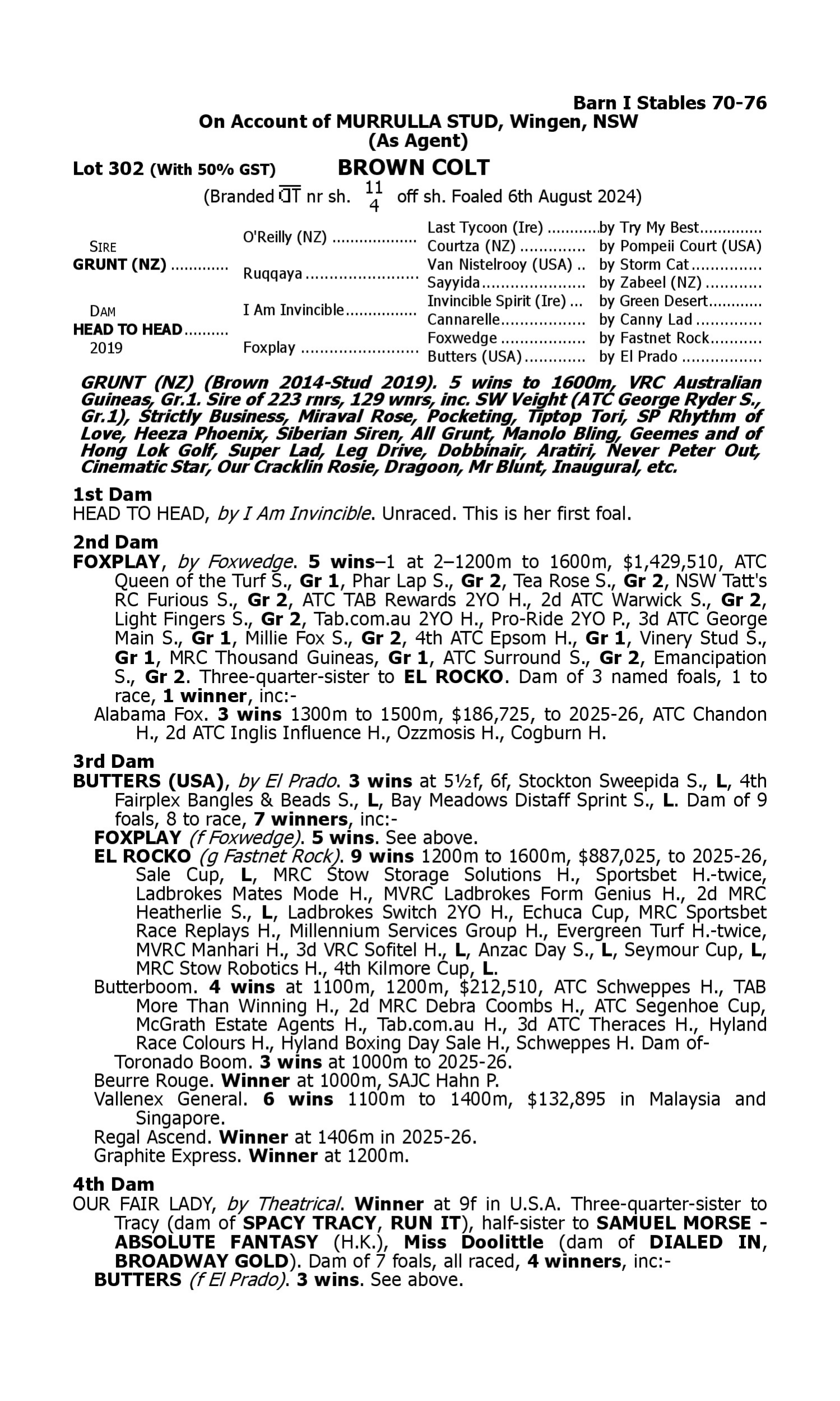 Pedigree for Lot 302 Grunt (NZ) - Head to Head