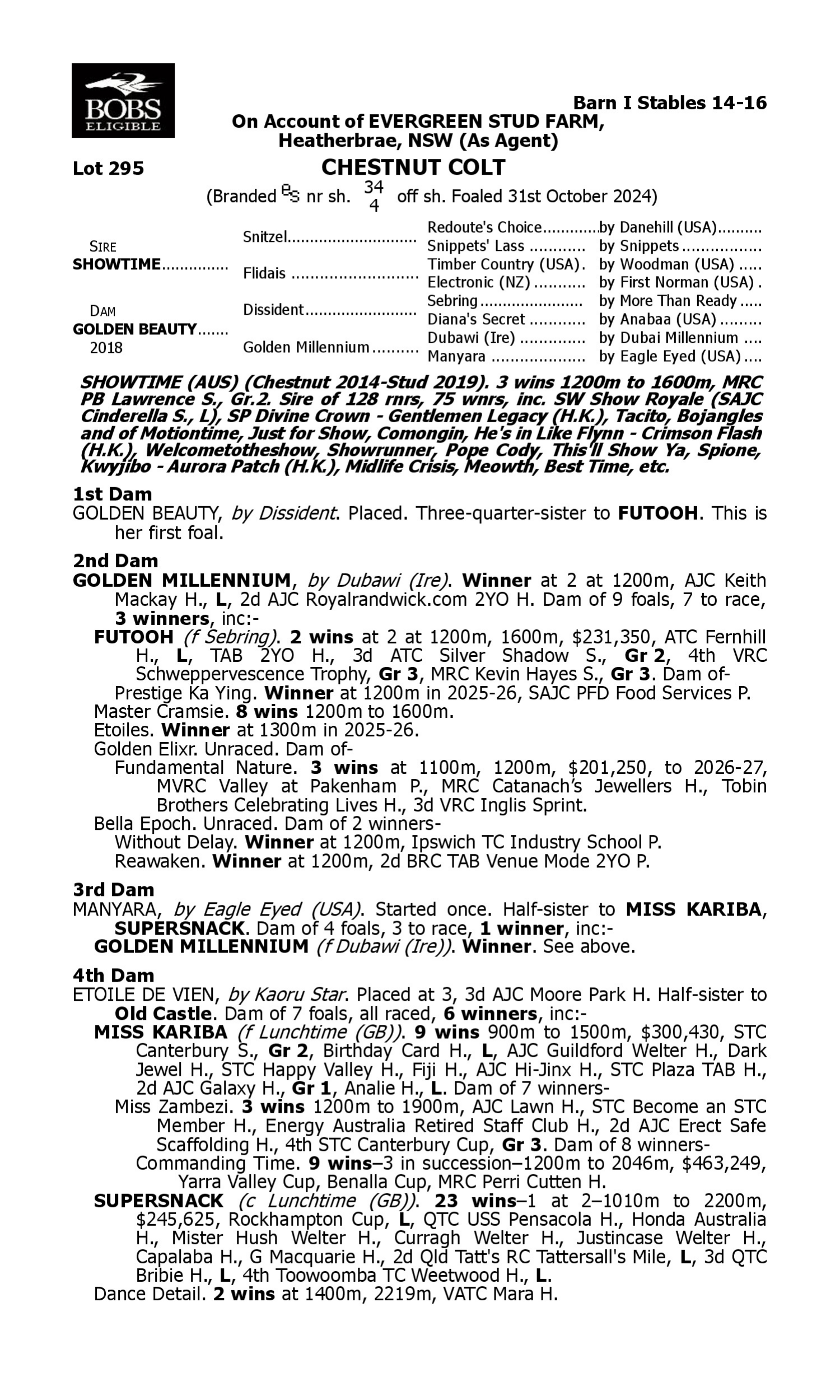 Pedigree for Lot 295 Showtime - Golden Beauty