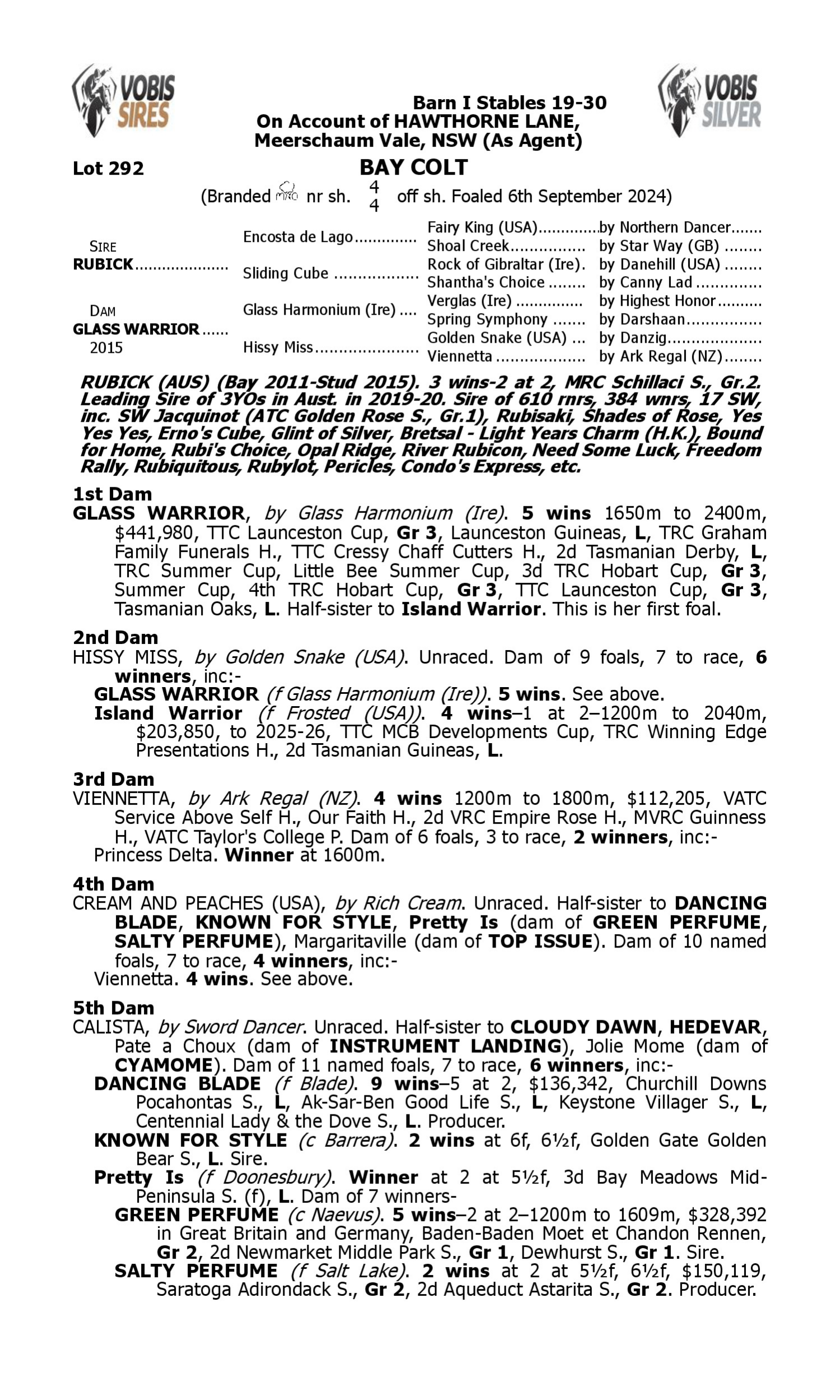 Pedigree for Lot 292 Rubick - Glass Warrior
