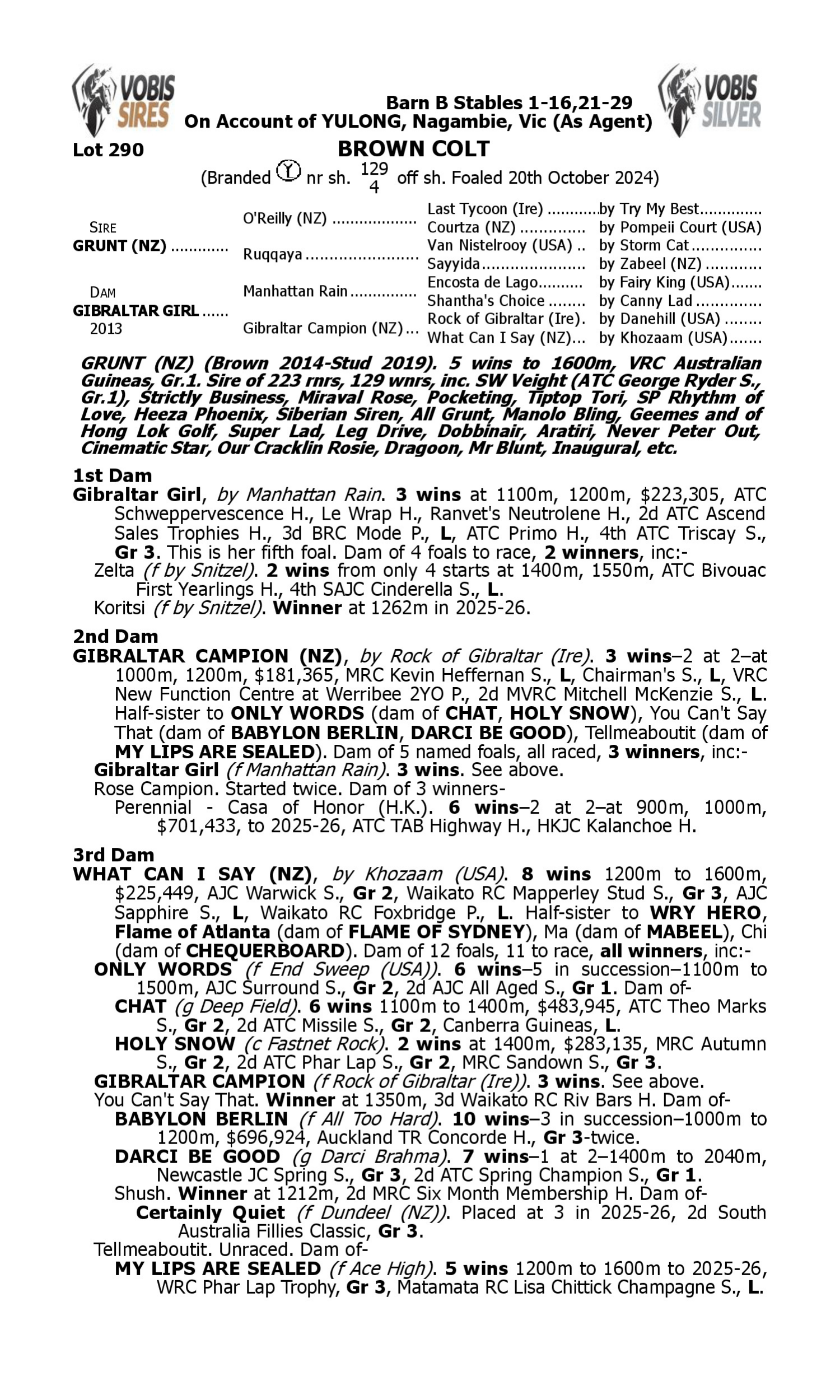 Pedigree for Lot 290 Grunt (NZ) - Gibraltar Girl