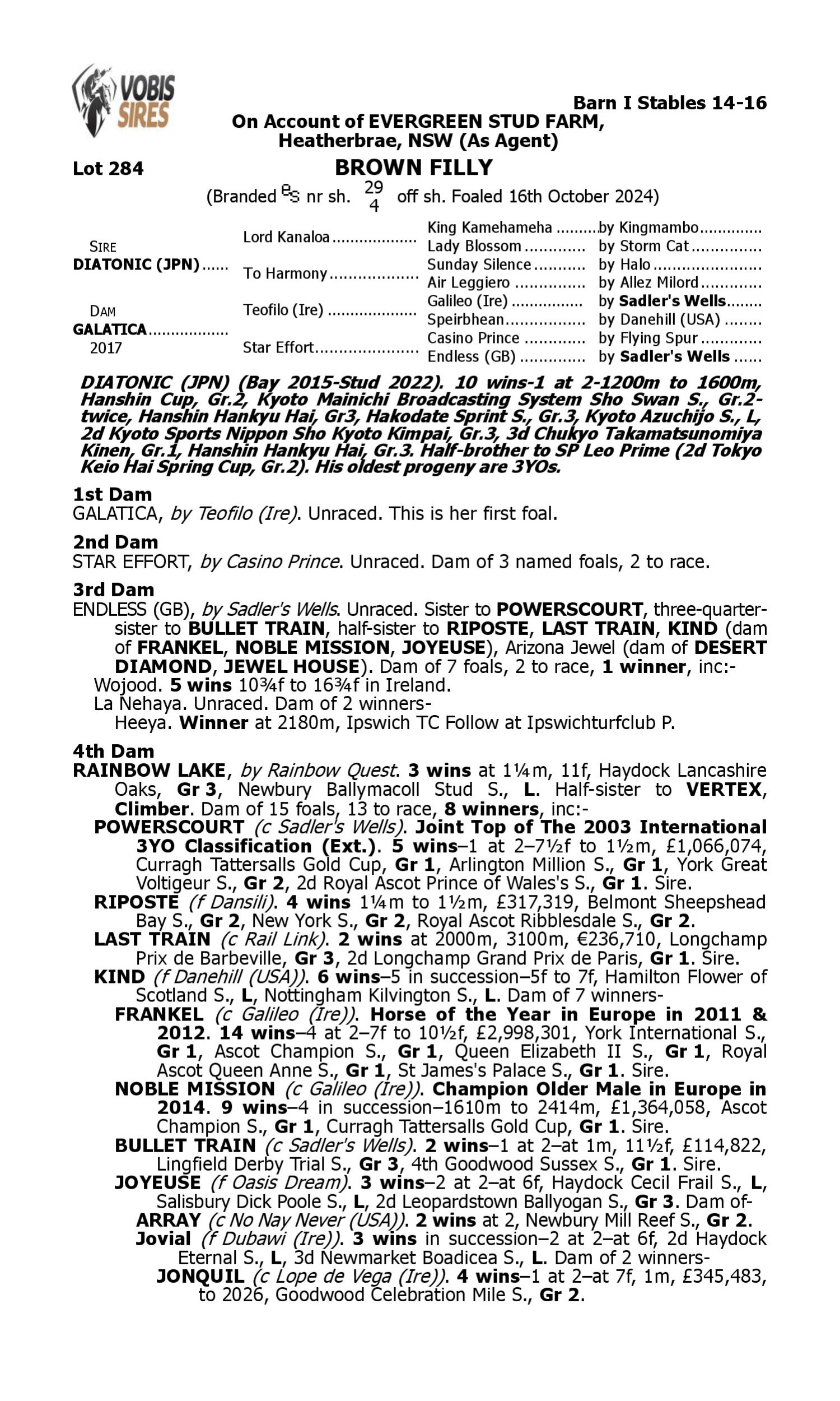 Pedigree for Lot 284 Diatonic (JPN) - Galatica