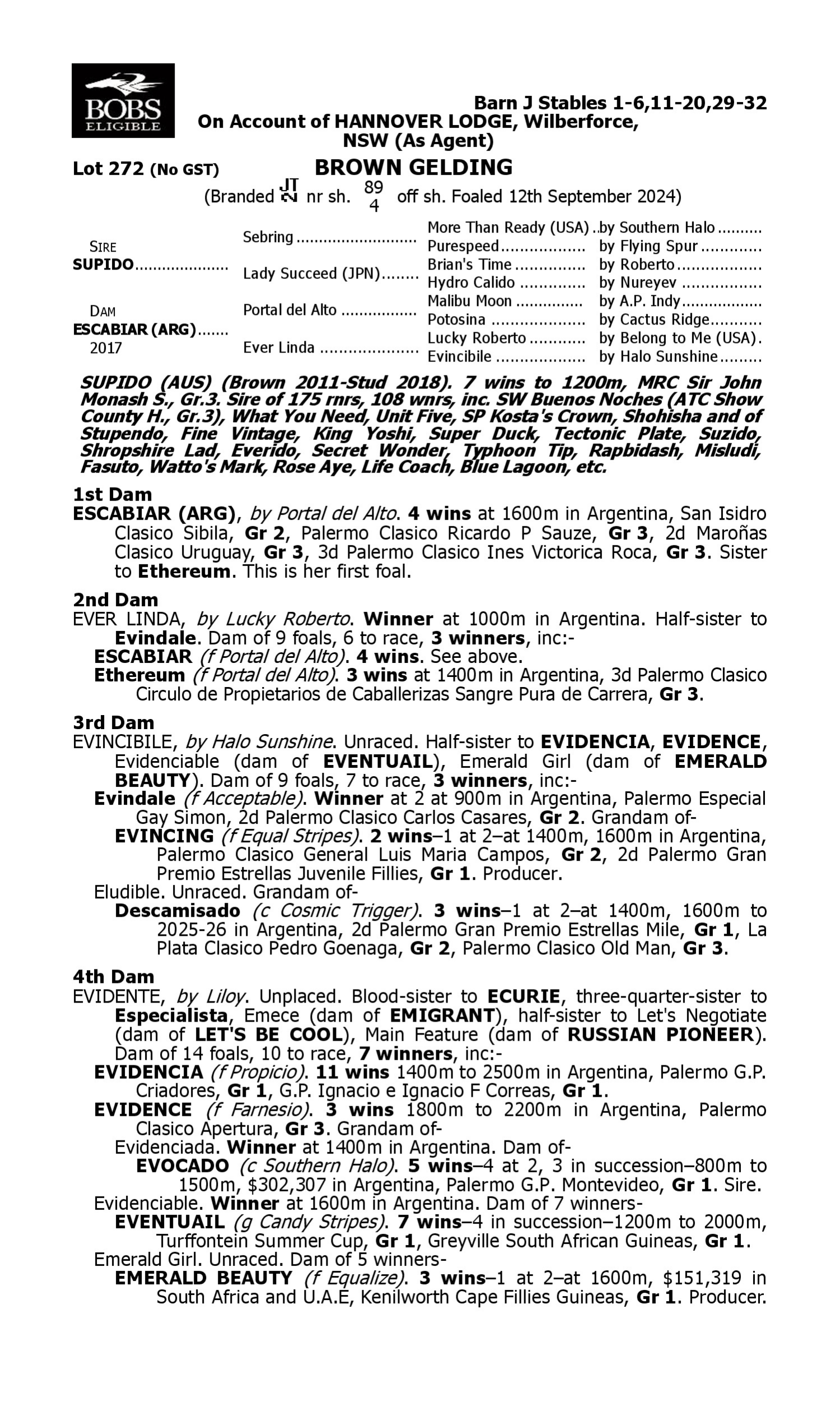 Pedigree for Lot 272 Supido - Escabiar (ARG)
