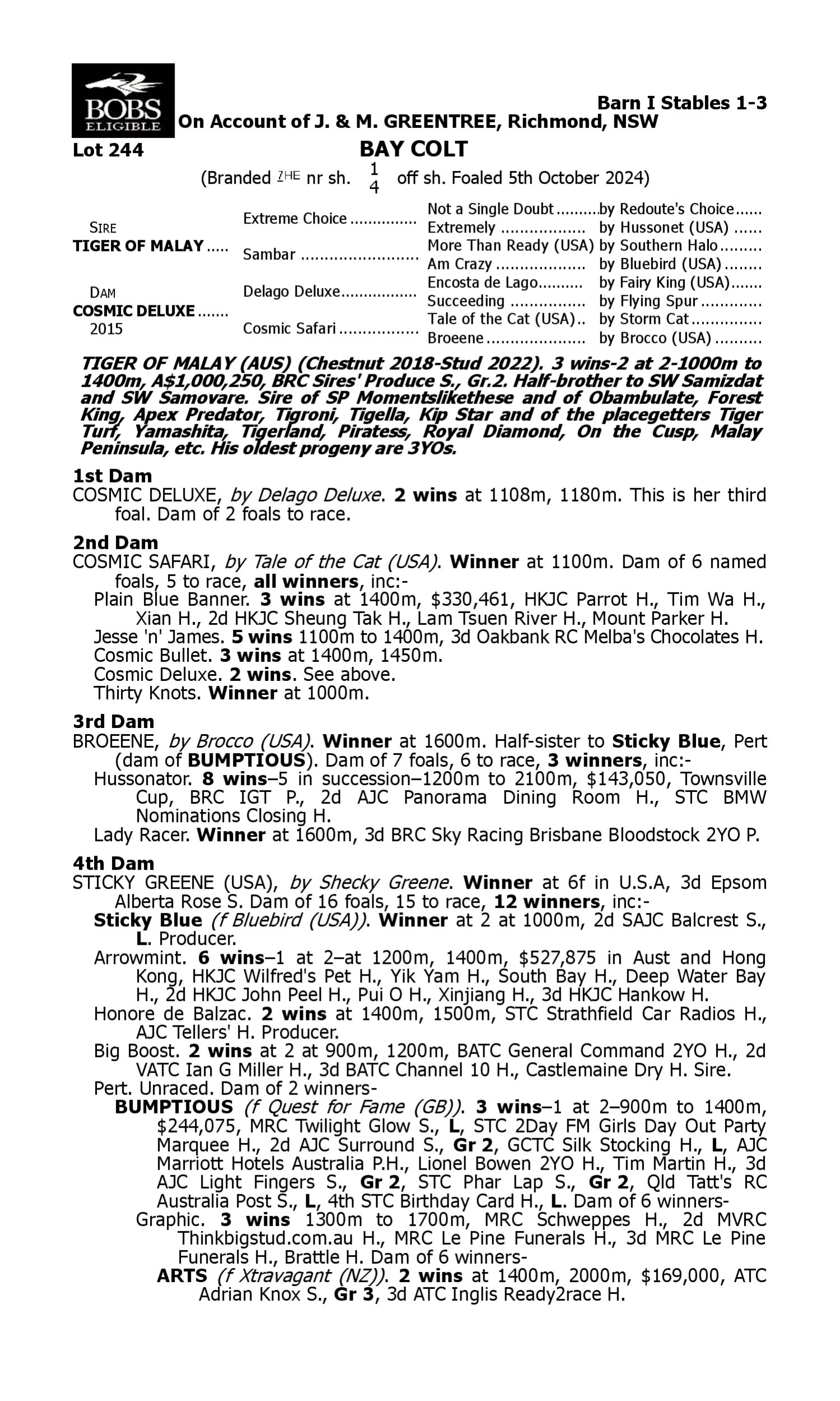 Pedigree for Lot 244 Tiger of Malay - Cosmic Deluxe