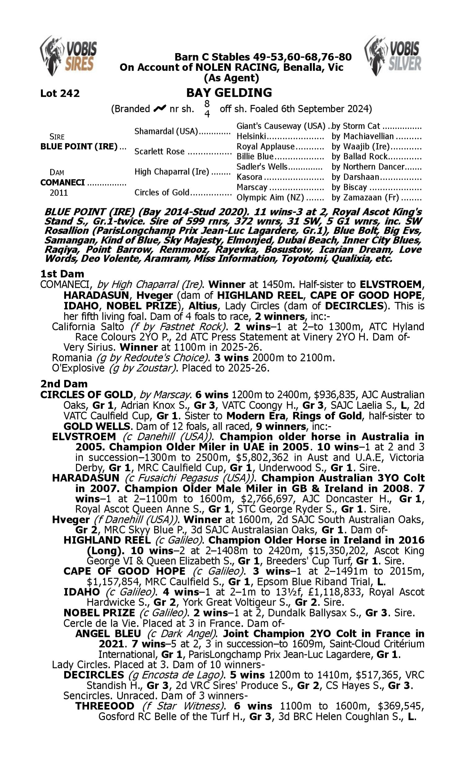 Pedigree for Lot 242 Blue Point (IRE) - Comaneci